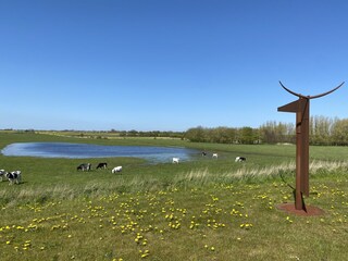 Eiderstedt