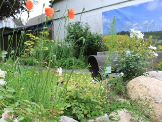 Blühender Friesenwall