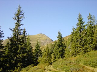 Appartamento per vacanze Piesendorf Ambiente 19