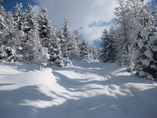 Appartamento per vacanze Piesendorf Ambiente 20