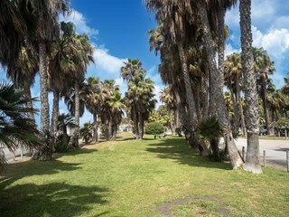 Appartamento Salobreña Registrazione all'aperto 9