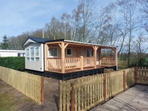 Holiday house Chalet in Appelscha mit schöner Aussicht - Appelscha - image1