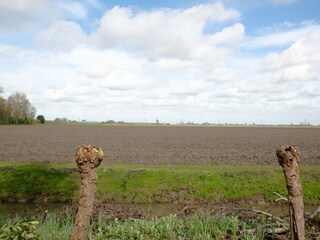 Vakantiehuis Moerkapelle Buitenaudio-opname 5