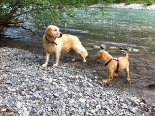 Appartamento per vacanze Schröcken Ambiente 29