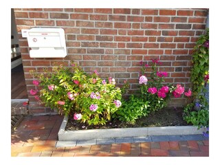 Vakantiehuis Carolinensiel Buitenaudio-opname 9