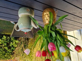 Casa per le vacanze Carolinensiel Registrazione all'aperto 24