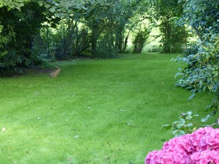 Casa per le vacanze Harlesiel Registrazione all'aperto 12