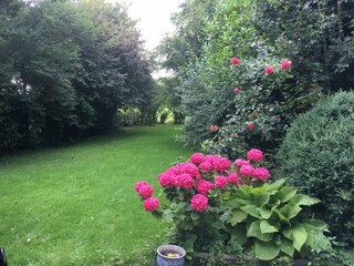 Vakantiehuis Harlesiel Buitenaudio-opname 14