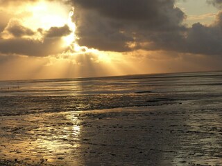 Casa per le vacanze Harlesiel Registrazione all'aperto 15