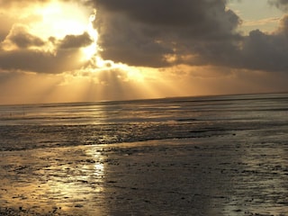 Vakantiehuis Harlesiel Buitenaudio-opname 15