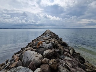 Maison de vacances Ørding  15