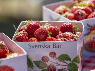 Vakantiehuis Stensjön  13