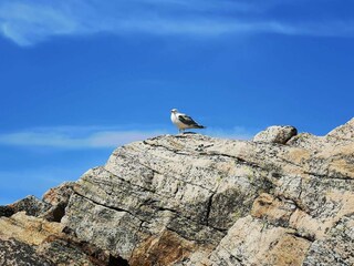 Holiday house Kungshamn  6