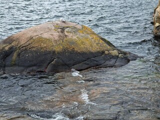 Holiday house Kungshamn  8