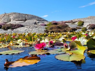 Vakantiehuis Kungshamn  32