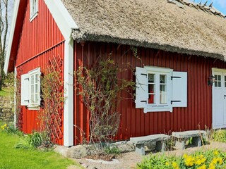 Vakantiehuis Bua Buitenaudio-opname 5