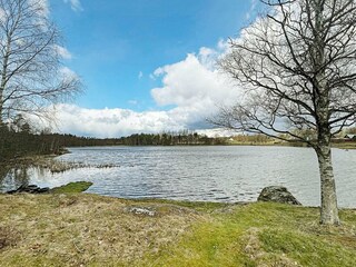 Vakantiehuis Lammhult  17