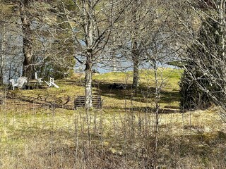 Vakantiehuis Lammhult  16