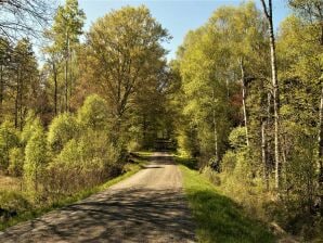 Holiday house 4 Personen Ferienhaus in HOVMANTORP - Lessebo - image1