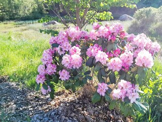 Holiday house Lessebo  12