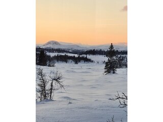 Blick gen Westen im Dezember