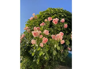 Casa de vacaciones Fuchsmühl Entorno 22