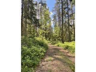 Maison de vacances Fuchsmühl Environnement 24