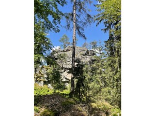 Vakantiehuis Fuchsmühl Omgeving 25