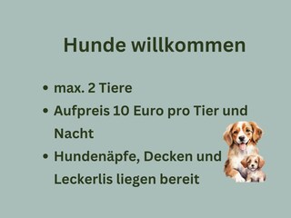 Hunde willkommen