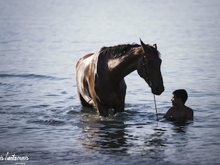 Reiten am Meer