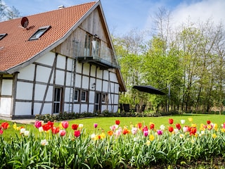 Terrasse/Garten