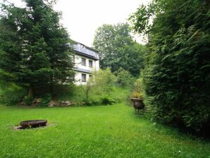 Holiday apartment with terrace, Altenberg - Lauenstein - image1