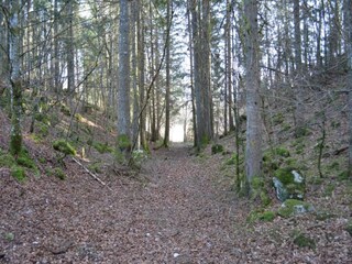 Ferienhaus Lac-des-Rouges-Truites Umgebung 24