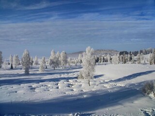 Vakantiehuis Lac-des-Rouges-Truites Omgeving 26