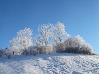 Vakantiehuis Lac-des-Rouges-Truites Omgeving 31