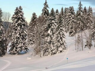 Vakantiehuis Lac-des-Rouges-Truites Omgeving 35