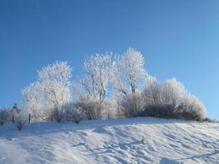 Vakantiehuis Lac-des-Rouges-Truites Omgeving 35