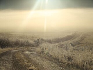 Casa per le vacanze Lac-des-Rouges-Truites Ambiente 33