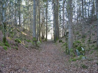 Holiday house Lac-des-Rouges-Truites Environment 32