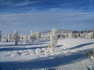 Casa per le vacanze Lac-des-Rouges-Truites Ambiente 35