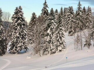 Holiday house Lac-des-Rouges-Truites Environment 35