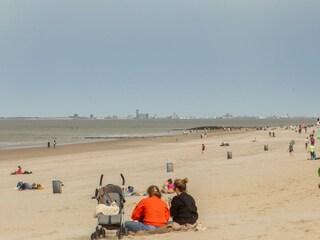 Maison de vacances Nieuwvliet Environnement 35