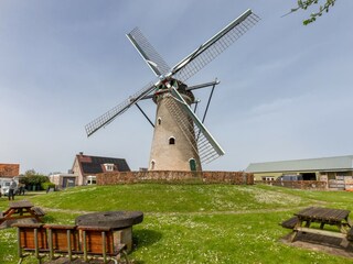 Casa de vacaciones Nieuwvliet Entorno 31