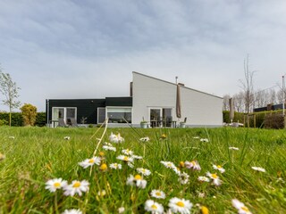 Casa de vacaciones Nieuwvliet Grabación al aire libre 12
