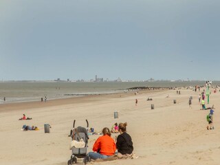 Vakantiehuis Nieuwvliet  43