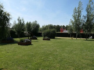 Casa de vacaciones Nieuwvliet Grabación al aire libre 16