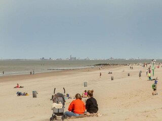 Vakantiehuis Nieuwvliet Omgeving 37