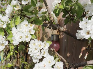 Casa per le vacanze Grou Registrazione all'aperto 6