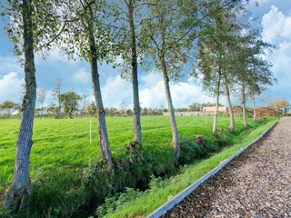 Farmhouse Noardburgum Environment 28