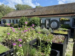 Holiday house Hof aan Zee - Dishoek - image1